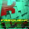 Personal Freak (Original Mix) - FREQUENC