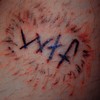 wtf (Explicit) - Vade