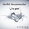 I'm Glad (Original HMS Mix) - Norbit Housemaster