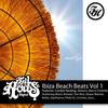 Ibiza Beach Beats Vol 1 (Continuous Mix) - Paul Parsons