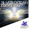 Freedom (RockStar Remix) - Silver Ocean&Rockstar