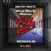 Way Back Home (Original Mix) - Dmitry Hertz