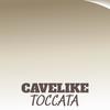 Cavelike Toccata - Puni Mnasek