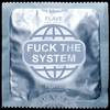 Fuck the System (Explicit) - Flave