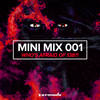 Smile (Amir Hussain Remix|Mix Cut) - DRYM&Jennifer Rene
