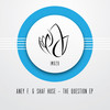 The Question (Original Mix) - Aney F.&Shaf Huse