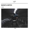 Like - Wildcap&LoudTech