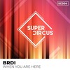 When You Are Here (Original Mix) - Brdi