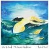 Tender Mirror - Jolie Holland
