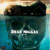 Dead Niggas (Explicit) - SelfPaidlol