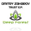The One In The Universe (Original Mix) - Dmitry Zaharov