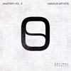 Acid Fake (Original Mix) - Soares