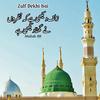 Zulf Dekhi Hay - Misbah BB