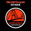 Go Home (A.K.O. Remix) - Ted Dettman&Borce Panov