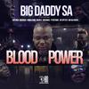 BLOOD WITH POWER (feat. ROFHIWA MANYAGA, BAMA CHOIR, MOSANKIE, P POSTMAN, JAY SPIT) - Big Daddy SA&Rofhiwa Manyaga&BAMA CHOIR&Mosankie&P Postman&Jay Spitter&MR SAX NKOSI