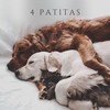 4 Patitas - Alejandro Mesa&&Mind & Earth&AlesitoRelaxing