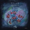 Anemona (Original Mix) - Oclum