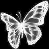 Butterflies In My Garden - Franky carbon-e