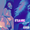 It's A Vibe (Explicit) - Fortunxte&Nemchel