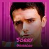 Muddy Vision - Linett Hees