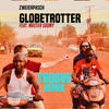 Globetrotter (Troove Remix) - Zweierpasch&Master Soumy