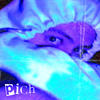 Anybody Else (Explicit) - Pich