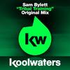 Tribal Training (Radio Edit) - Sam Bylett