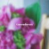 She's Mine - The Monotones/The Pentagons