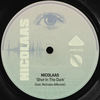 Shot in the Dark(feat. Nicholas Allbrook) - Nicolaas&Nicholas Allbrook