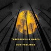 Our Feelings - Qarcii&Turkoshvili