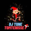 Tomtenisse P - DJ Tune