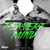 Pervert Mind (Chris-S Remix) - Alan Capetillo&Felipe Accioly
