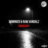 Frequency (Original Mix) - DominicG&Raw Vandalz