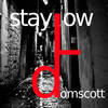 Stay Low (Pansil Remix) - Domscott&Pansil