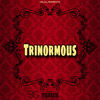 Trinormous (Explicit) - playaa puu&LV