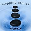 Stepping Stones - Muncy