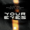 Your Eyes - Trip-Tamine&Brandon Hombre&D-Nation