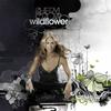 I Don't Wanna Know - Sheryl Crow