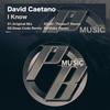 I Know (Original Mix) - David Caetano