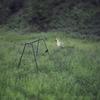 The Gold - Manchester Orchestra