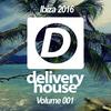 The Future Funk (Original Mix) - Ian Deluxe
