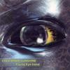 Jungle Dream Feat MFG - California Sunshine