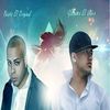 Creo Que Me Estoy Enamorando(feat. Berto el Original) - Guanaco el Unico&Berto El Original