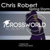 Spring Storm (Raoul Russu Remix) - Chris Robert