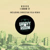 I Know It (Christian Vila Remix) - R3V3S&Christian Vila