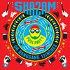 Pool Party 2009 (Headman Remix) - Shazam