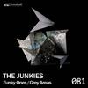 Funky Ones (Original Mix) - The Junkies