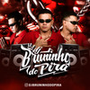 Representa na Sentada (Explicit) - DJ Bruninho do Pira&DJ VINI BEAT&MC GW&MC Renatinho Falcão