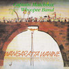 Hernando's Hideaway - Captain Matchbox Whoopee Band