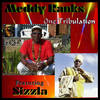 A Need a Girl Like You - Meddy Ranks&Sizzla